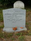 image of grave number 99447
